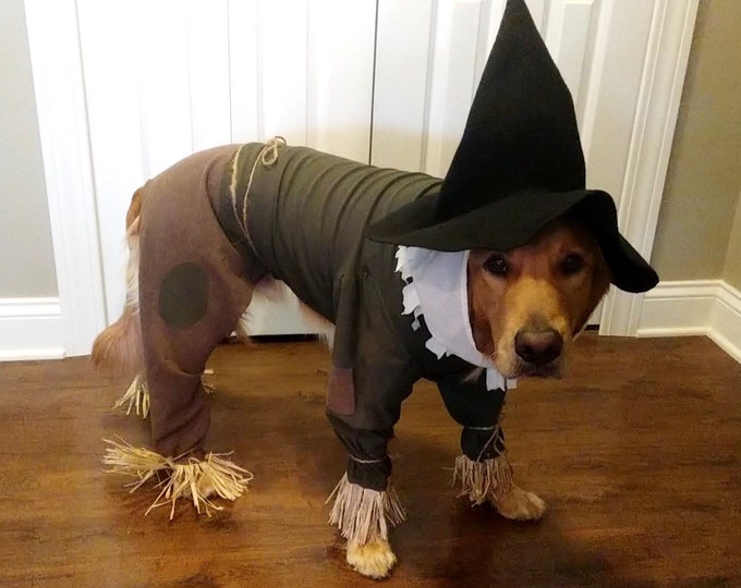 Custom made scarecrow costume for golden retriever size dogs