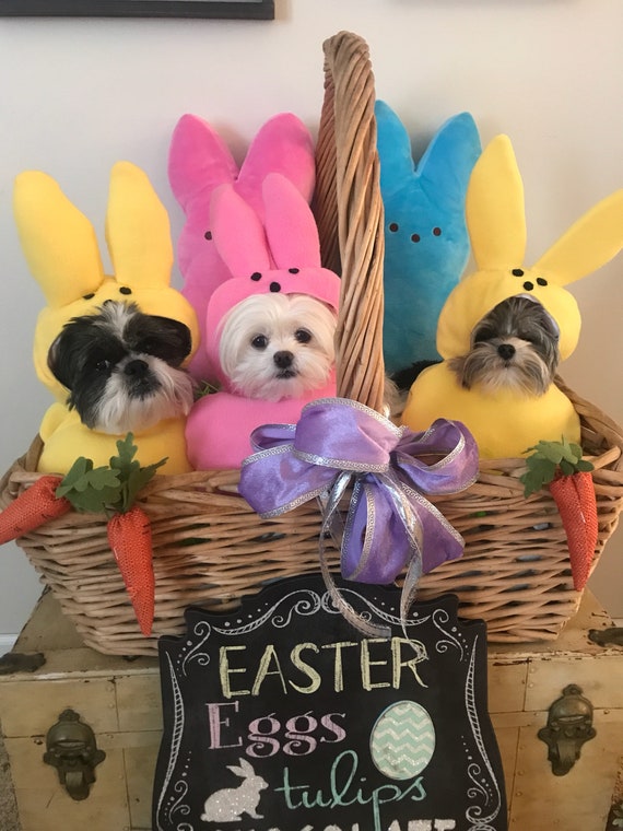 Peeps Dog Party and Easter Basket Ideas for Pets