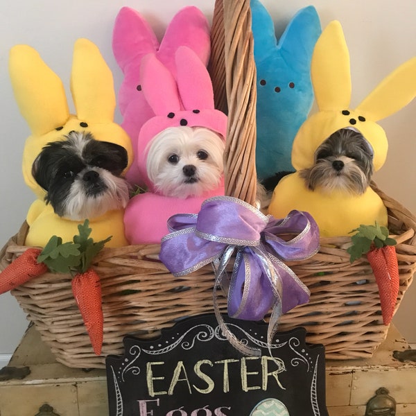 Disfraz de perro Easter Candy hecho a medida para su pequeña mascota/perro de hasta 20 libras