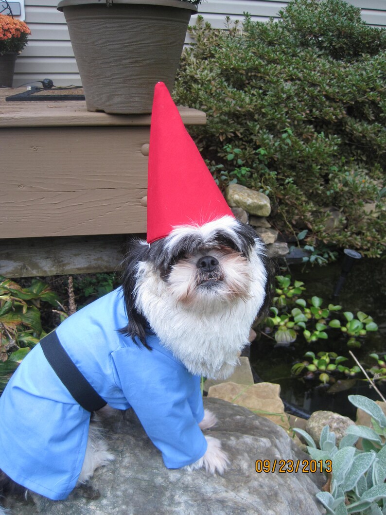 Download Custom Madeorder For Garden Gnome Dog Halloween Costume For Xsmall Medium Size Dogs Pet Clothing Pet Supplies Safarni Org
