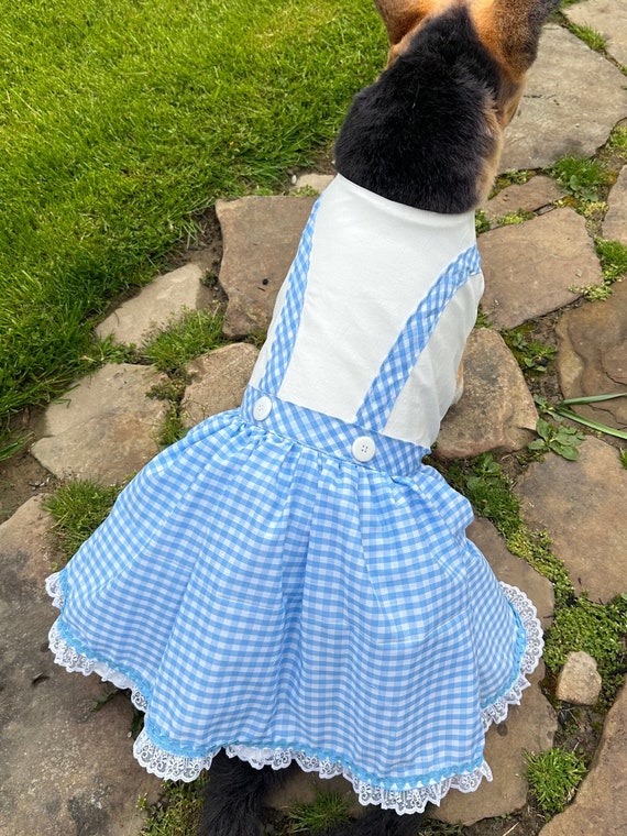 Larger Breed Version! Blue/white Checkered (gingham) Dress Perfect for  Halloween Pet/dog Costume - Etsy