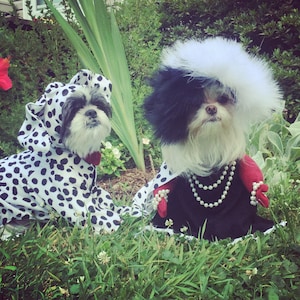 May include: Two small dogs dressed in costumes. One dog wears a white hooded garment with black spots. The other dog wears a black dress, red gloves, a double-strand pearl necklace, pearl bracelets, and a large, fluffy, two-toned black and white wig.