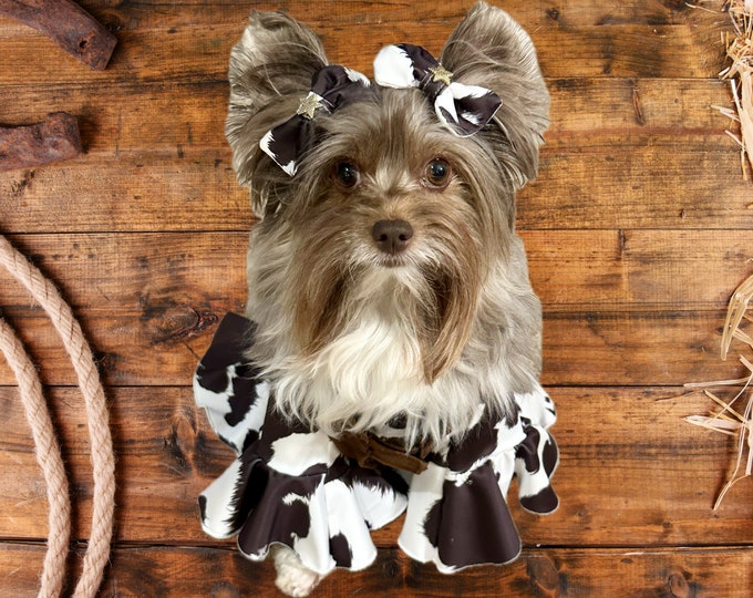 Western cowgirl dog costume/outfit