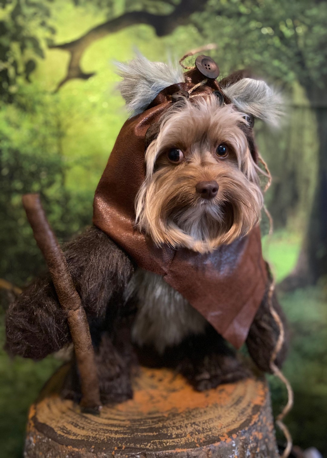 Star wars ewok dog 2025 sweater with knit hoodie
