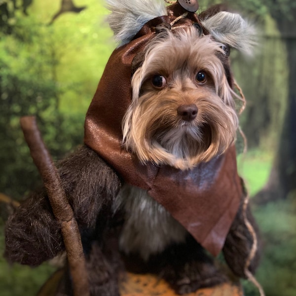 Furry Brown Woodland Dog Halloween Costume with Hood