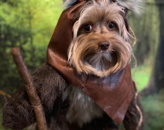 Furry Brown Woodland Dog Halloween Costume with Hood