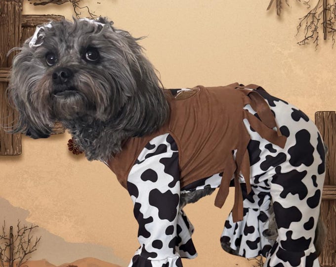 Western cowgirl dog costume/outfit