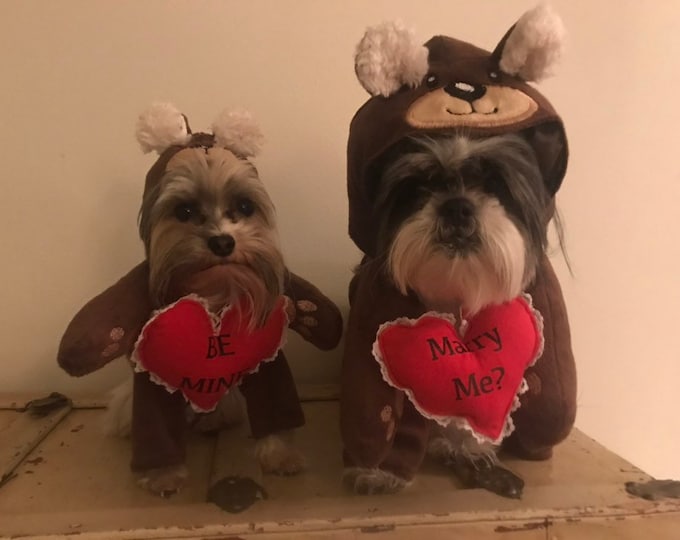 Deluxe Bear Dog costume perfect for Valentines Day!