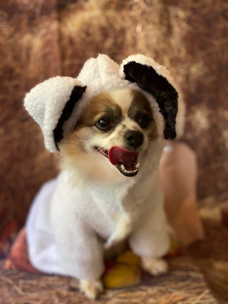 Little Bo Peep's Lost Sheep Halloween Pet/dog Costume Size Etsy