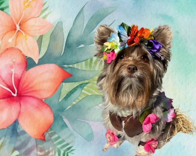 Adorable Hawaiian Luau Hula Dog Costume! Includes skirt, mock coconut bra and floral headpiece