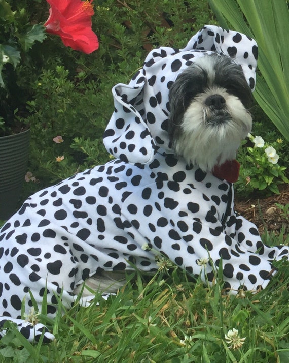 small dog dalmatian costume