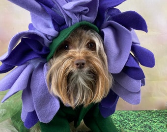 Disfraz único de Halloween para perros de girasol para perros de razas pequeñas y medianas