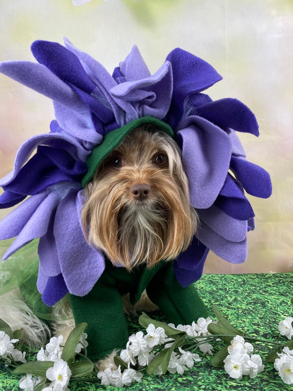 Disfraz único de Halloween para perros de girasol para perros - Etsy México Disfraz único de Halloween para perros de girasol para perros - Etsy México