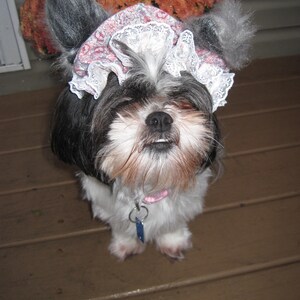 May include: A black and white Shih Tzu dog wearing a white lace bonnet with pink and white floral print. The dog is sitting on a wooden floor.