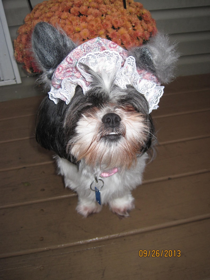 May include: A black and white Shih Tzu dog wearing a white lace bonnet with pink and white floral print. The dog is sitting on a wooden floor.