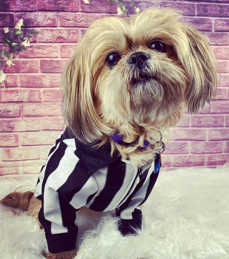 Referee Dog Shirt/costume for Small Dogs Great for Sporting Etsy