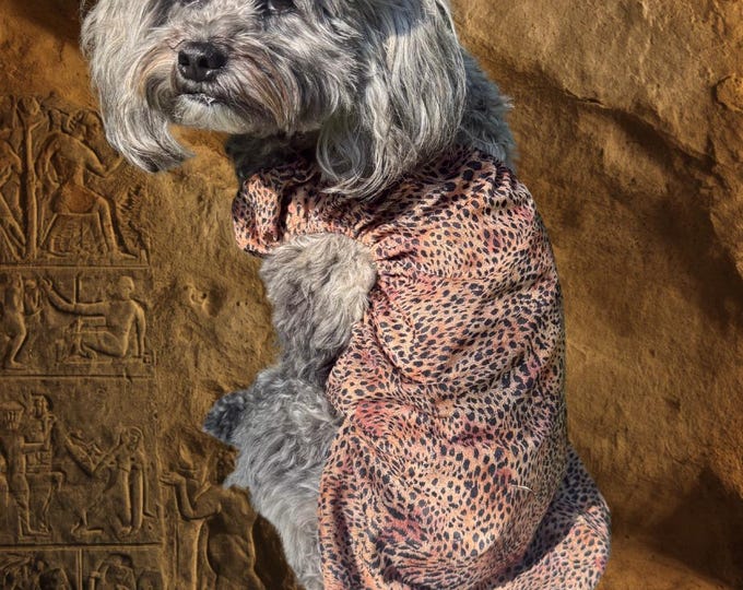 Cavegirl Dog Costume: Animal Print Dress, Bone Hair Cuff, Fur Boot Cuffs