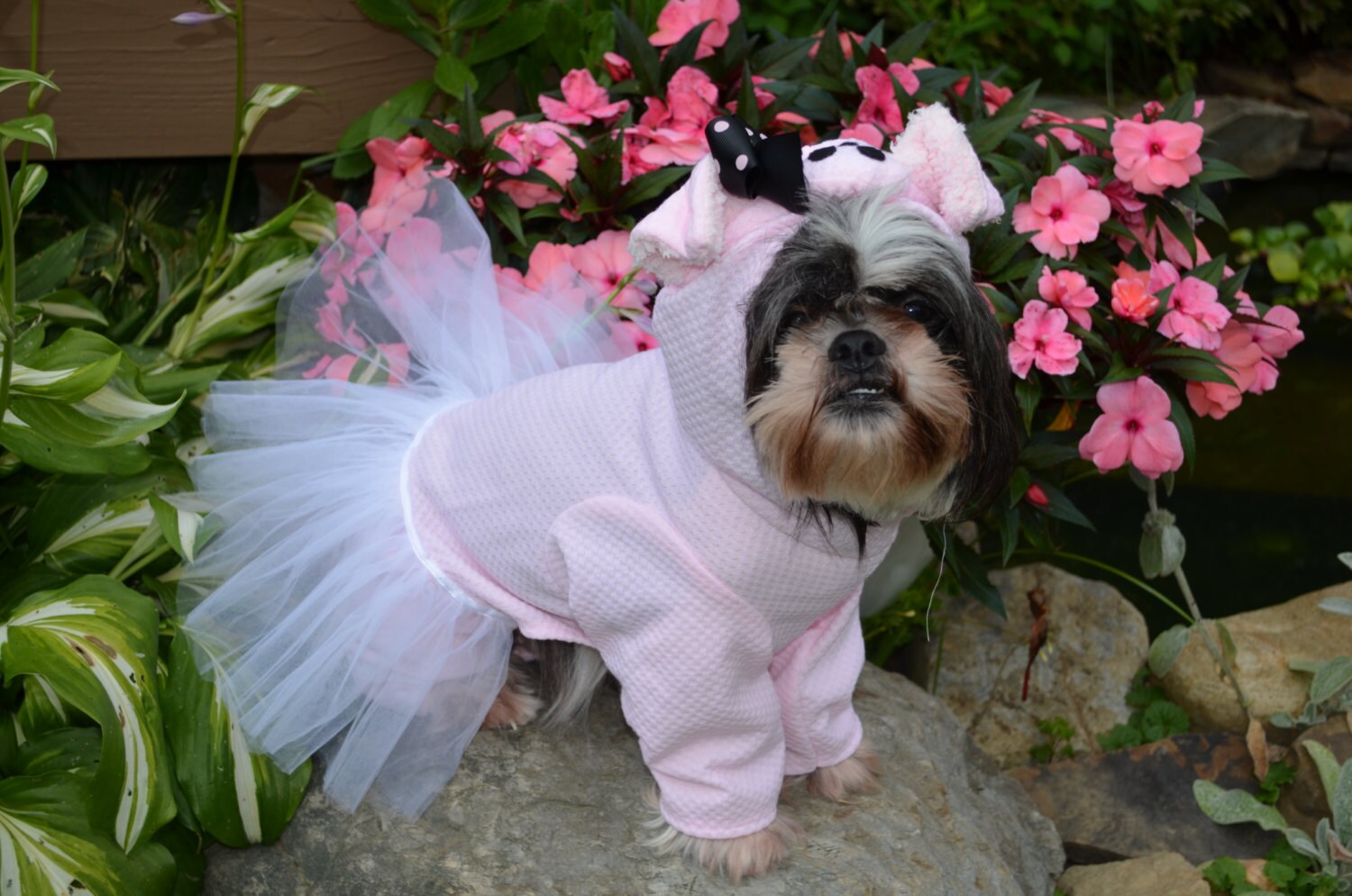 Pink Ballerina Pig with tutu or plain pig Dog Halloween Costume