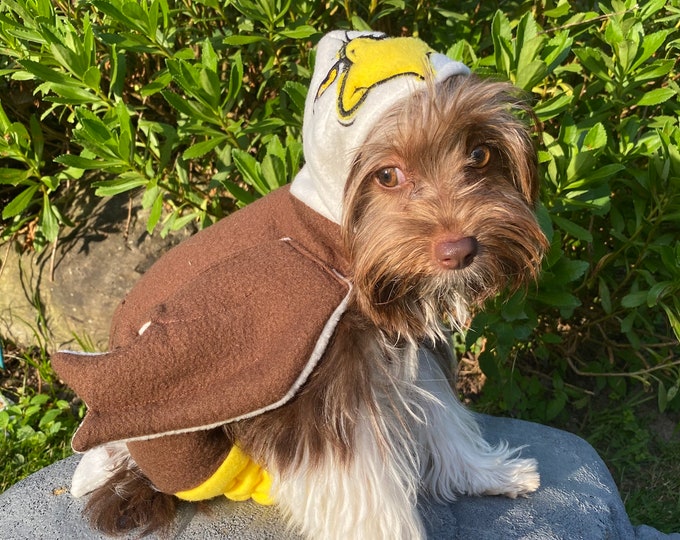 Eagle Dog Costume for smaller breed dogs