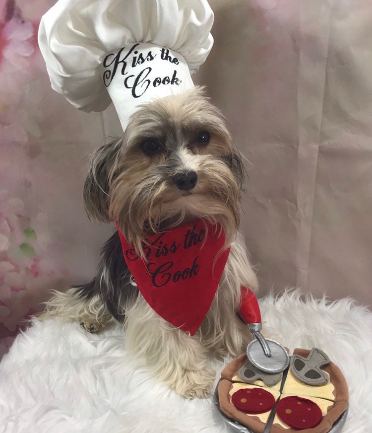 Chef Dog Costume Hat and red scarf