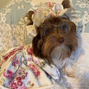 May include: A small brown dog wearing a white and pink floral dress with a white lace trim and a white lace bonnet. The dog is sitting on a light blue and white floral patterned surface.