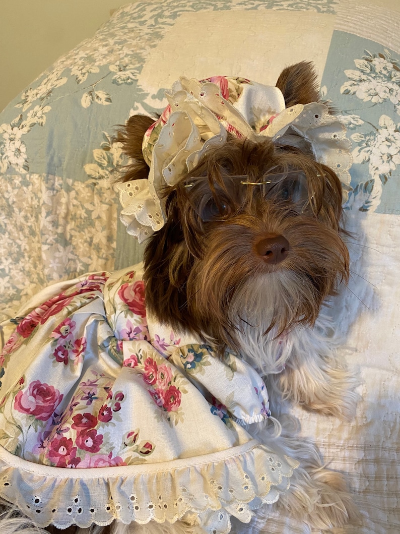 May include: A small brown dog wearing a white and pink floral dress with a white lace trim and a white lace bonnet. The dog is sitting on a light blue and white floral patterned surface.