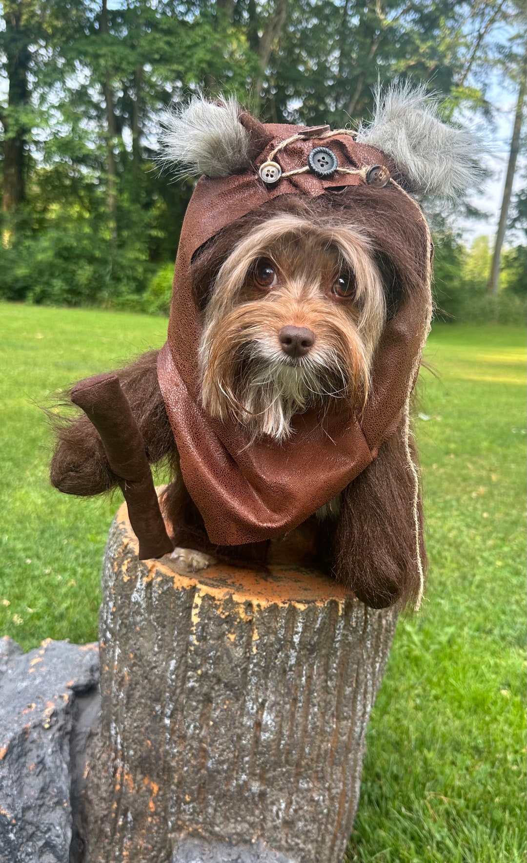 Ewok costume for small dog 2025