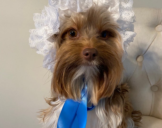 Dog Nana Costume Bonnet, Pet Halloween Costume
