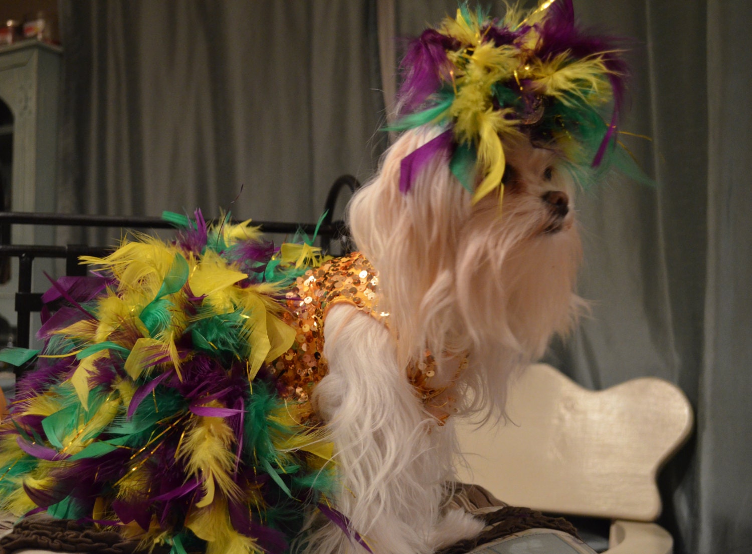 Mardi Gras Show Dog Costume Dress with Headpiece for xsmall or