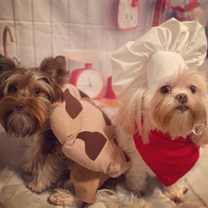 Chocolate chip cookie dog/pet halloween costume for small/medium sized dogs