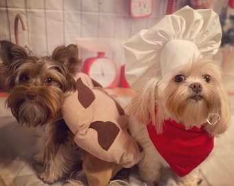 Chocolate chip cookie dog/pet halloween costume for small/medium sized dogs