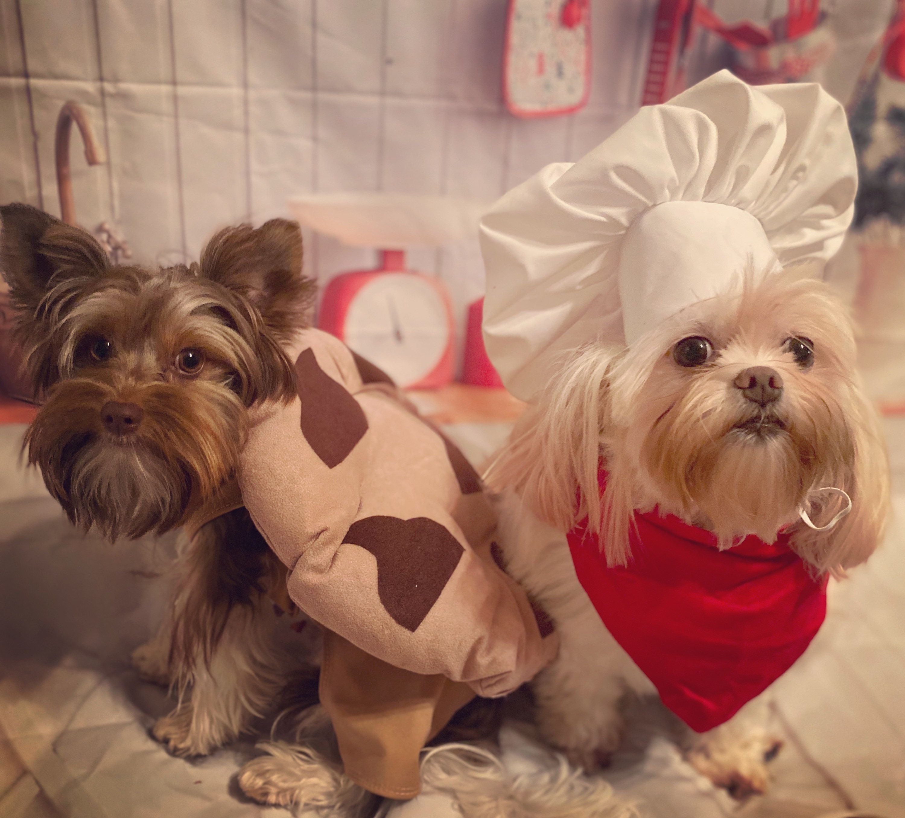 16 Funny Dog Costumes That'll Be the Highlight of Halloween