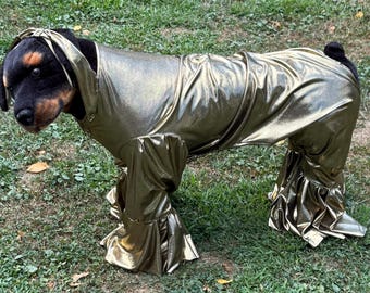 Large breed Disco/70’s gold flared bottom Halloween costume/jumpsuit