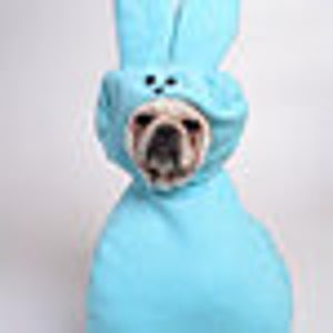 Custom Made Easter Candy dog costume for your small pet/dog up to 20 pounds image 4