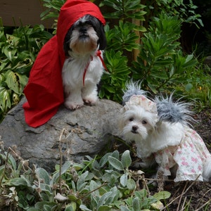 Granny dress/costume for smaller pets including bonnet image 7
