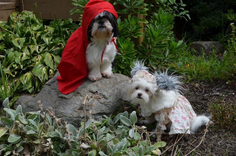 Custom made to order floral print Little Red Riding Hood and granny Halloween costume for dogs