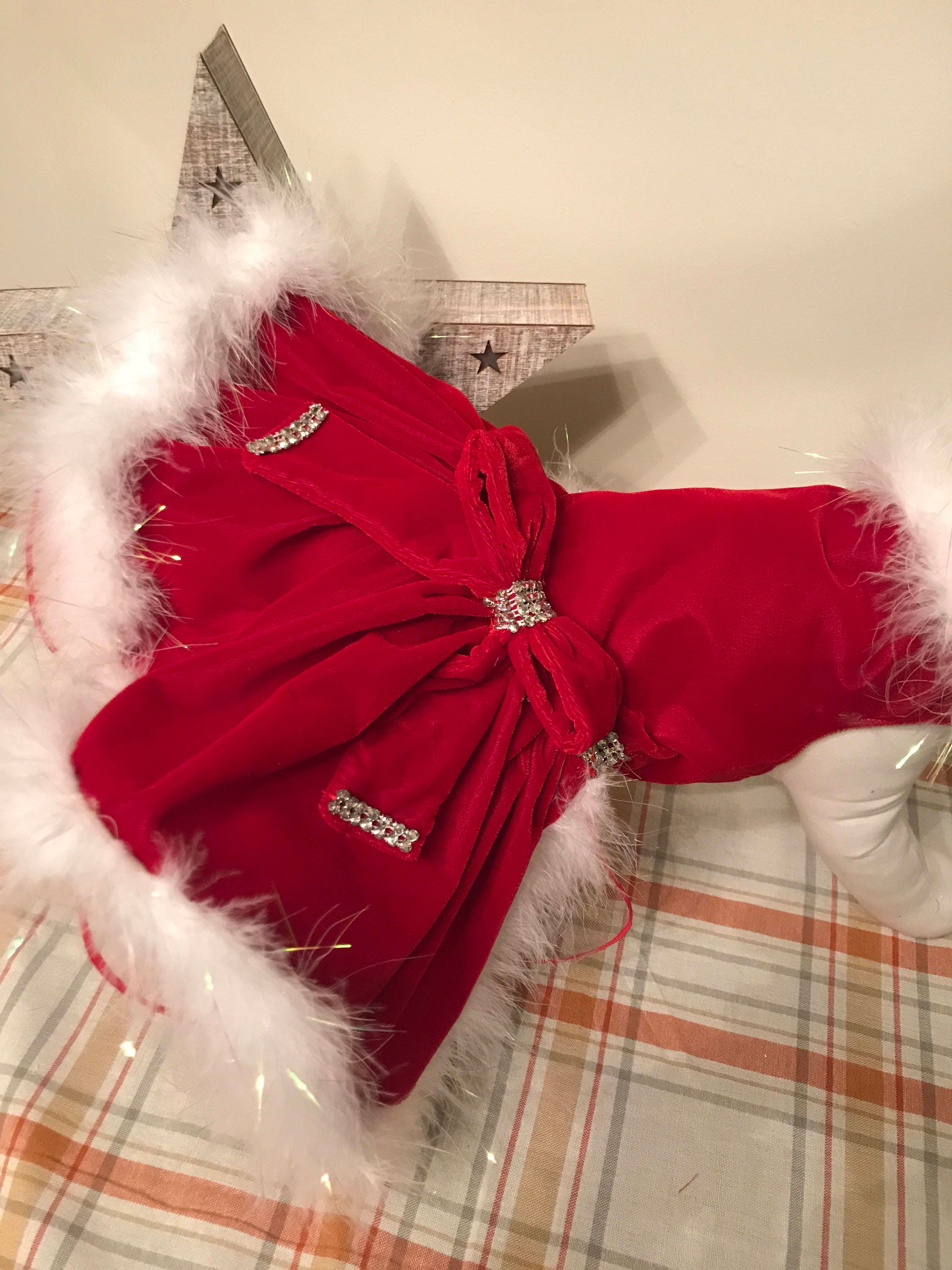 Cheistmas/holiday red velvet dog dress