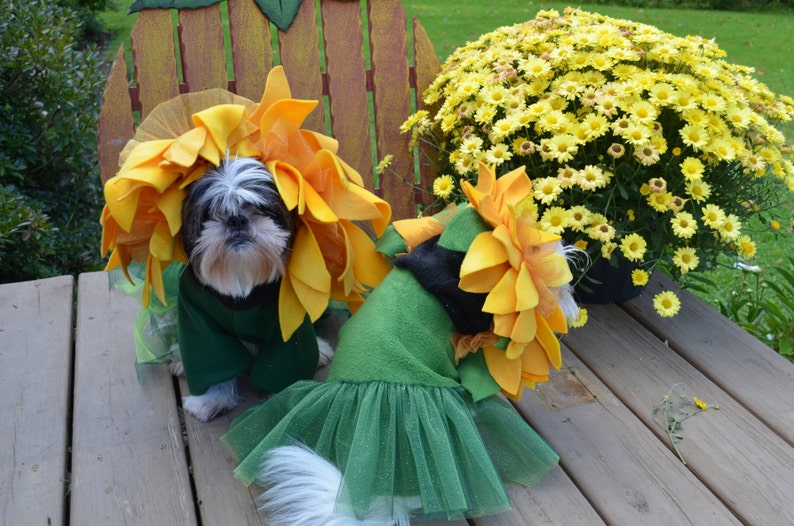 Unique Sunflower Dog Halloween Costume for Smallmedium Breed Etsy