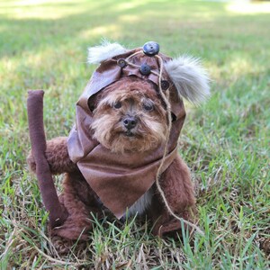 Adorable Furry Reddish Brown Woodland Dog Halloween Costume with hood image 5