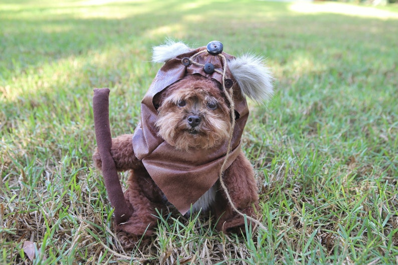 Adorable Furry Reddish Brown Woodland Dog Halloween Costume with hood image 5