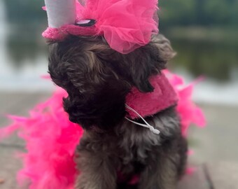 Hot Pink Flamingo Dog Pet Halloween Costume