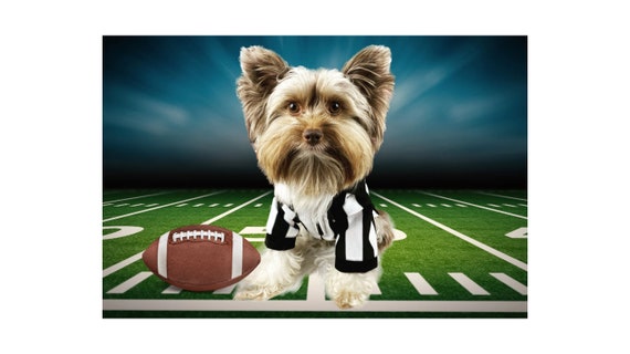 Blue Football Player Dog Costume~X-Small 8 Inches / Blue 