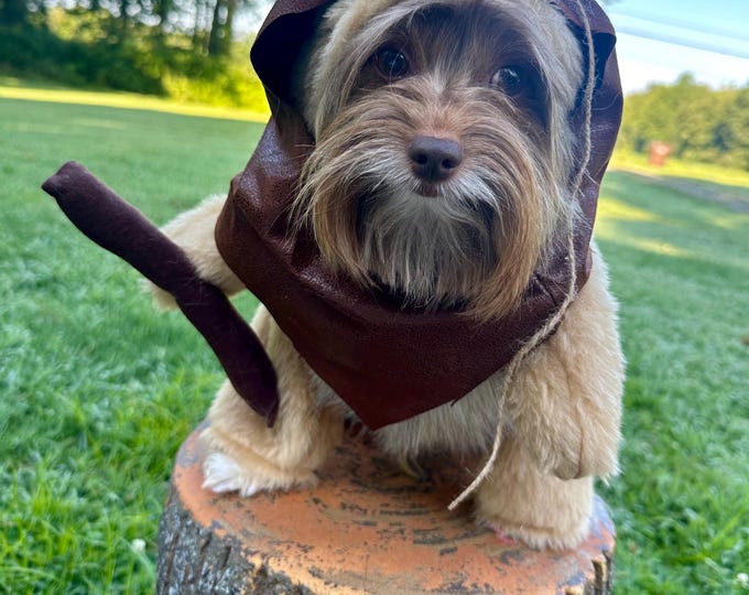Furry Woodland Creature light tan/Cream Colored Dog Halloween Costume/Hood