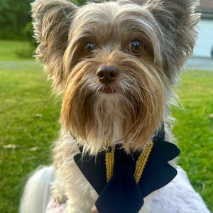 Pilot dog bandana costume with or without matching hat