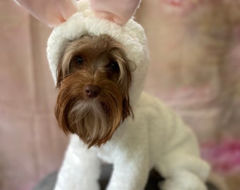 Custom Bunny costume for small breed dogs