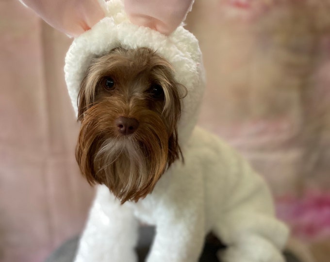 Custom Bunny Easter costume for small breed dogs! White, brown , black and gray!