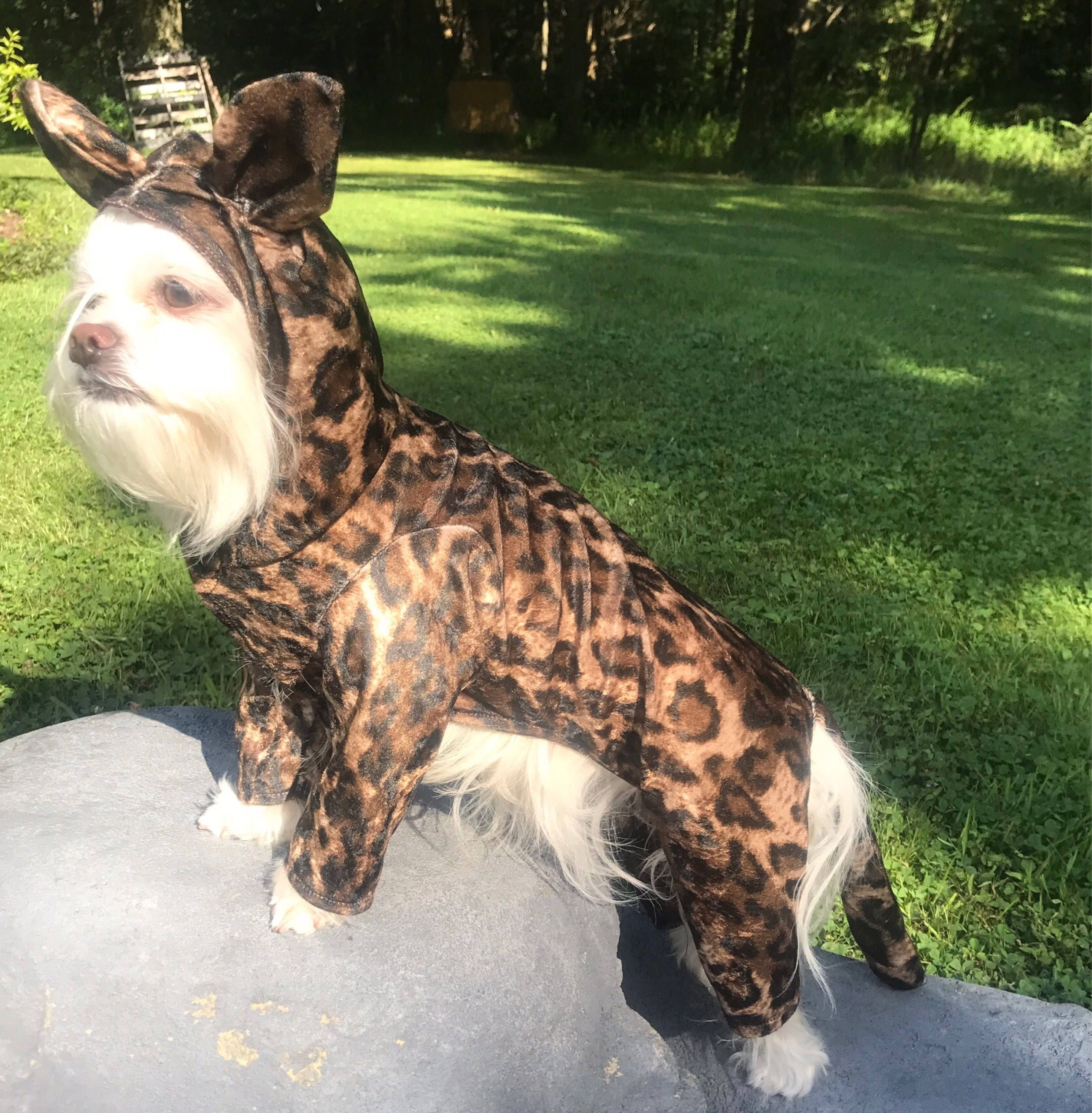 Dog leopard costume 2025