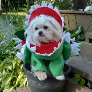 May include: A small white dog wearing a green and red plant costume with white triangular teeth around the collar and hood. The costume features green fabric leaves on the sides and is designed to resemble a carnivorous plant, worn by the dog.