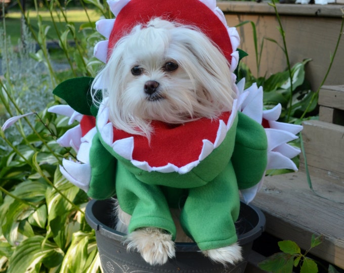 Custom made Venus Fly Trap Dog Costume for Small Breed Dogs under 15 lbs