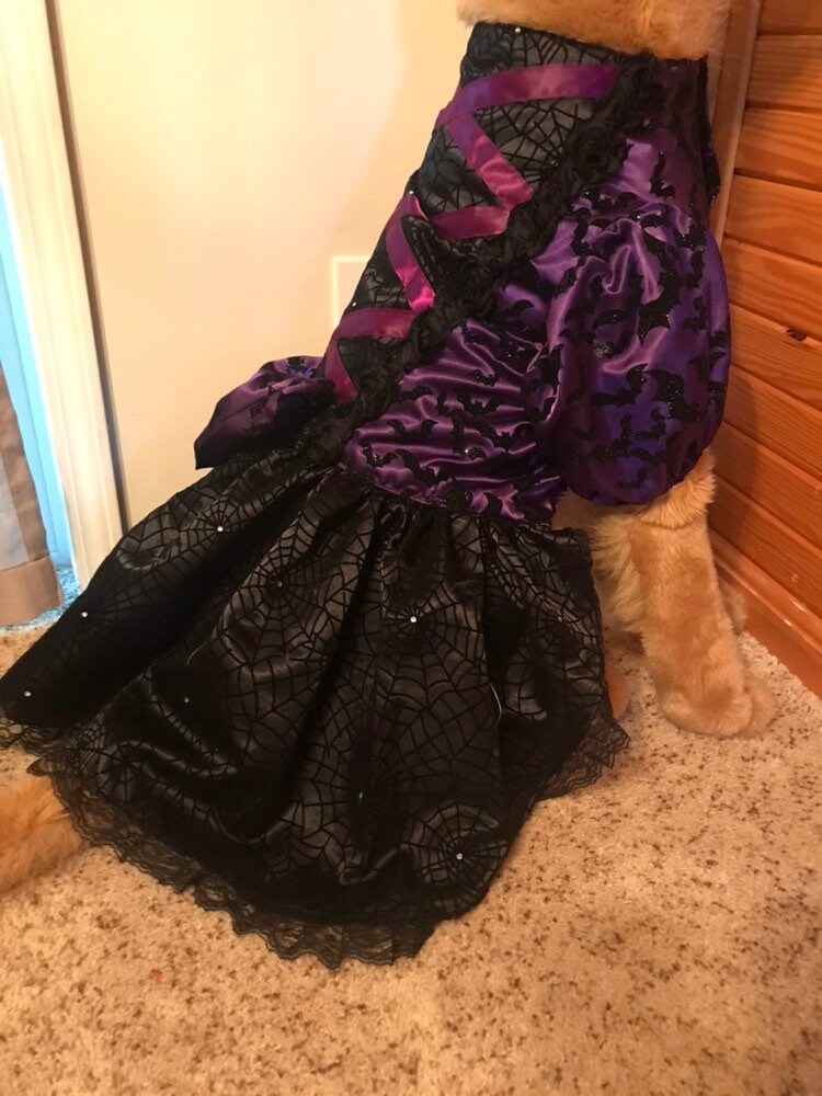 Large breed dog witch halloween costume one if a kind